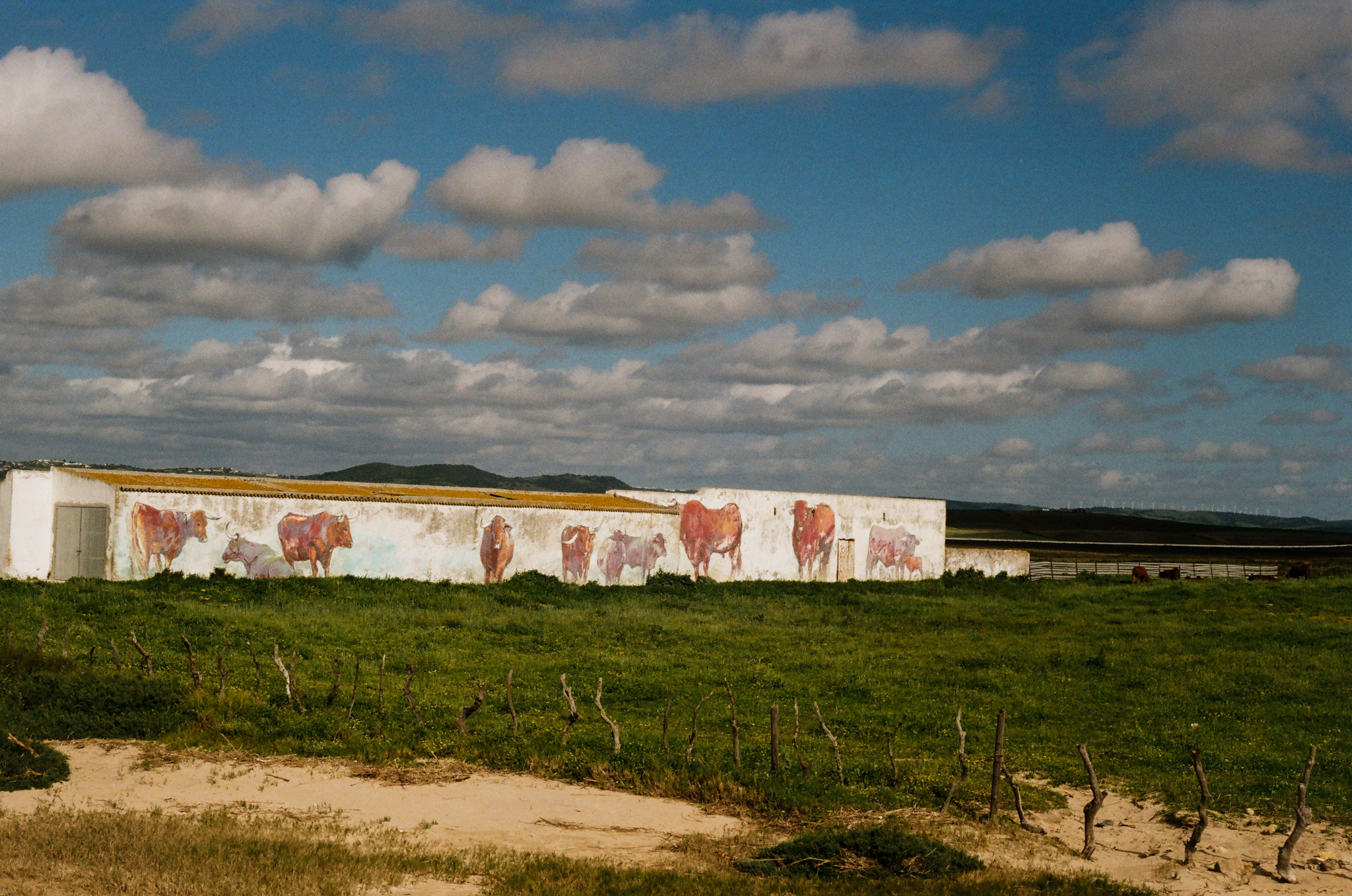 color-film - 5.jpg